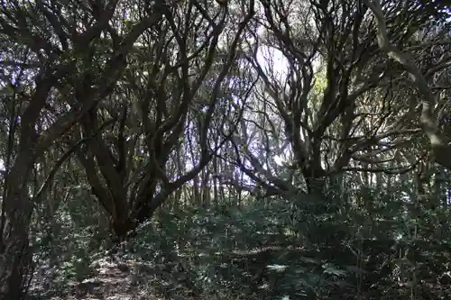 猿田神社の周辺