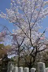 長岡天満宮の建物その他