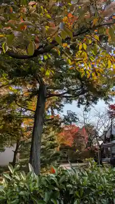 法金剛院(京都府)