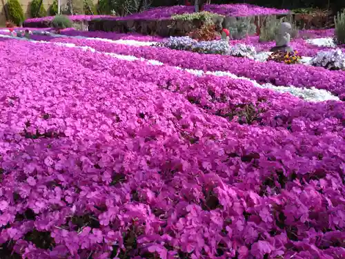 寿量山　速成寺の自然