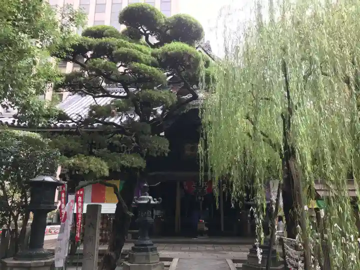 頂法寺(六角堂)の自然
