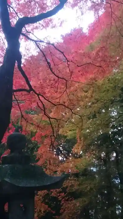 諏訪神社(鳥取県)