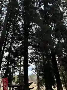 大宮温泉神社(栃木県)(2022年12月31日(土) 08時18分40秒投稿)