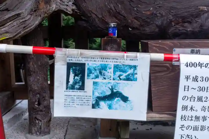 東霧島神社(宮崎県)