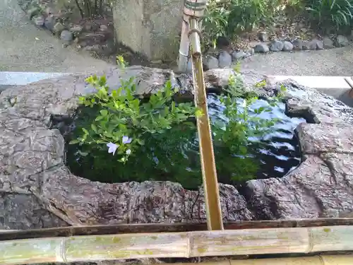 阿智神社の手水