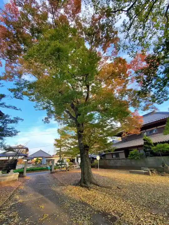 北斗寺(茨城県)