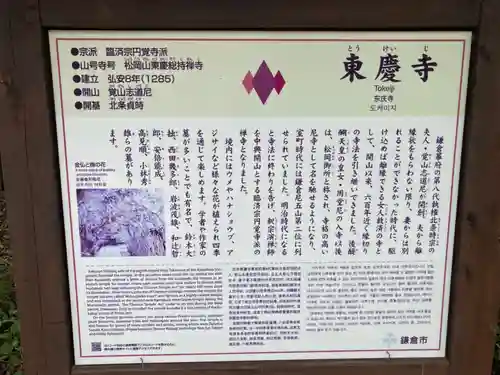 東慶寺の歴史