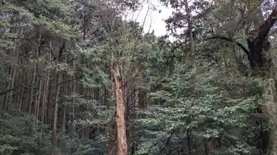 金峰神社の自然