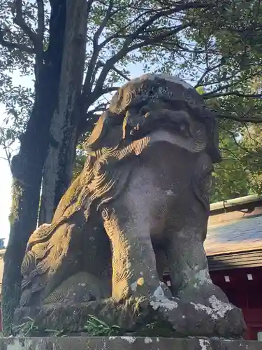 大國魂神社の狛犬