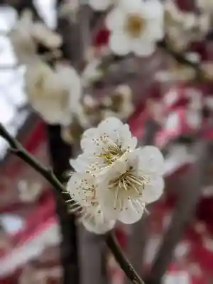 成子天神社(東京都)