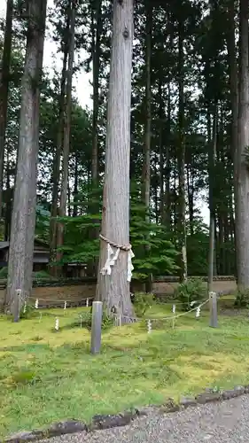 古峯神社の自然