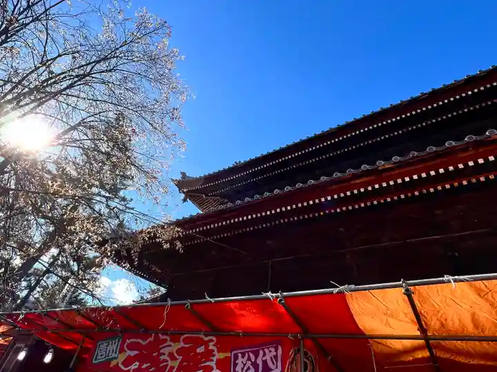 信濃國分寺の本殿・本堂