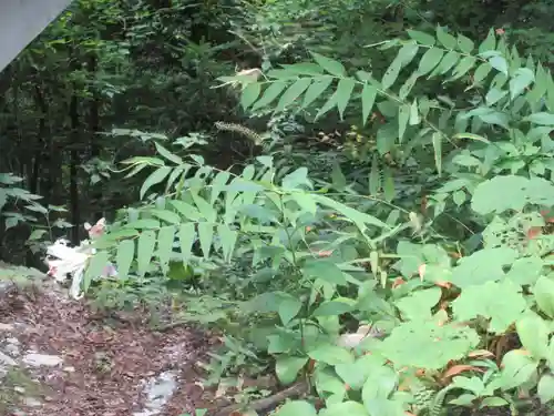 胡四王神社(岩手県)