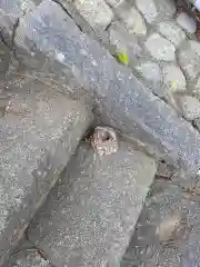 岡部春日神社～👹鬼門よけの🌺花咲く🌺やしろ～(福島県)