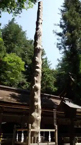 諏訪大社下社春宮の自然