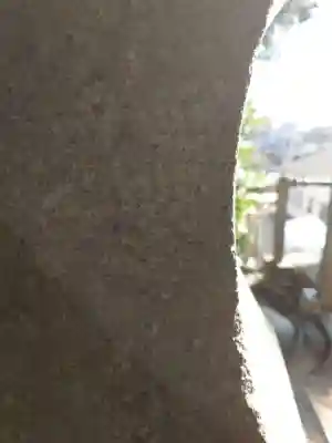 田間神社(千葉県)