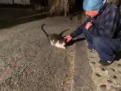 周林寺の動物