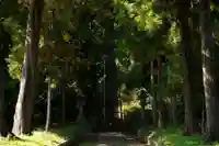 諏訪神社(千葉県)