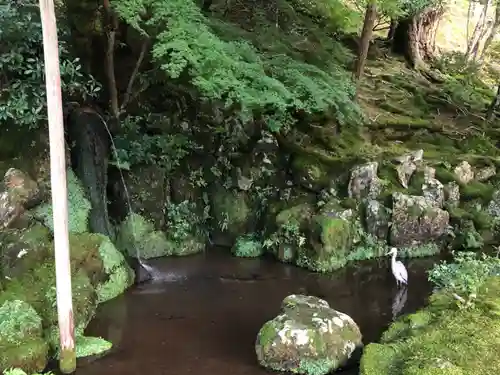 慈照寺（慈照禅寺・銀閣寺）の庭園