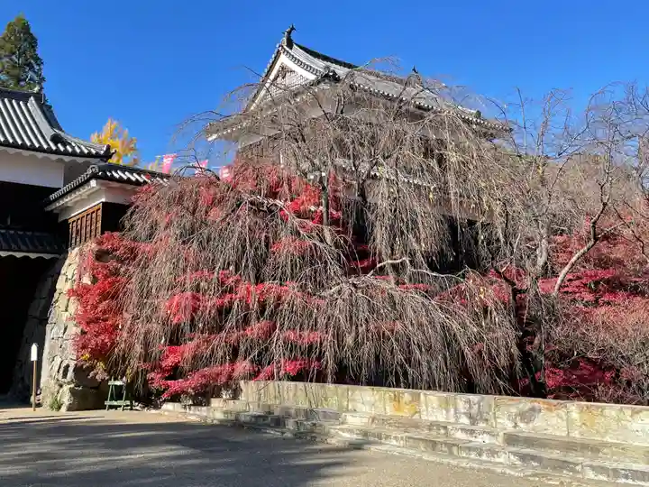 眞田神社の周辺