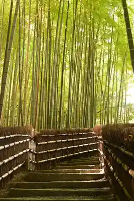 化野念仏寺(京都府)