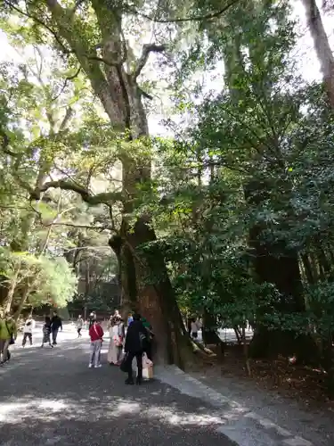 伊勢神宮内宮（皇大神宮）(三重県)