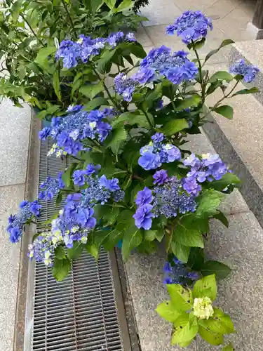 松嶺院(神奈川県)