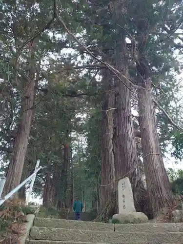 大井神社（太郎神社）(茨城県)