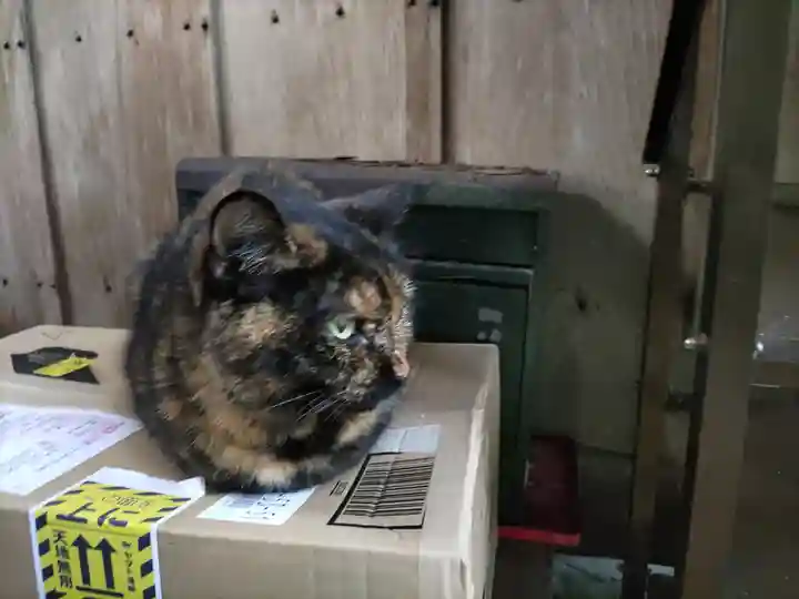 小松寺(千葉県)