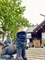 札幌諏訪神社の狛犬
