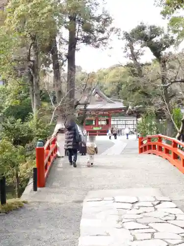 鶴岡八幡宮の{uncategorized: "未分類", other: "その他", undefined: "問題あり", building: "その他建物", grave: "お墓", sacred_gate: "鳥居", guardian: "狛犬", statue: "像", buddha: "仏像", history: "歴史", nature: "自然", garden: "庭園", animal: "動物", pagoda: "塔", temizu: "手水舎", mountain_gate: "山門・神門", sanctuary: "本殿・本堂", subordinate: "末社・摂社", art: "芸術", scenery: "景色", jizo: "地蔵", ema: "絵馬", goshuin: "御朱印", omikuji: "おみくじ", items: "授与品その他", amulet: "お守り", goshuincho: "御朱印帳", eats: "食事", festival: "お祭り", votive_dance: "神楽", shichigosan: "七五三参", wedding: "結婚式", experience: "体験その他", initially: "初詣", around: "周辺", anti_infection: "感染症対策"}