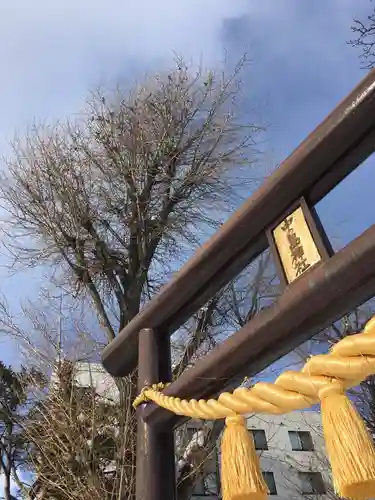 中の島神社の鳥居