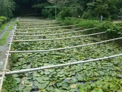 応聖寺(兵庫県)
