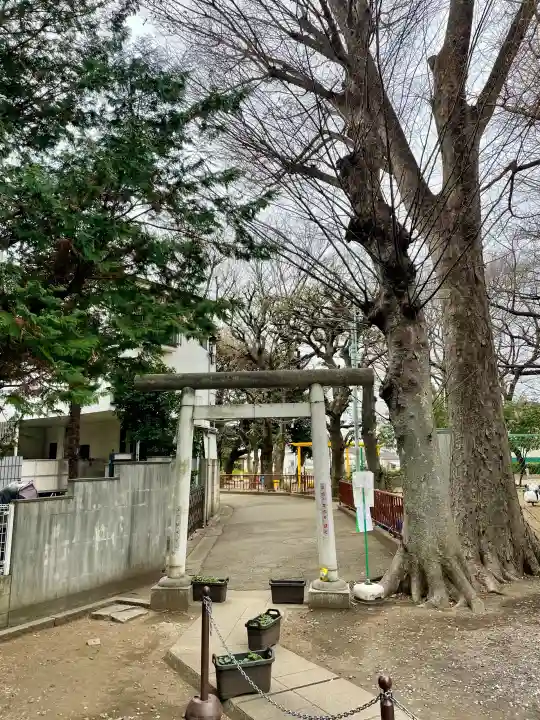 天祖神社(上目黒天祖神社)の{uncategorized: "未分類", other: "その他", undefined: "問題あり", building: "その他建物", grave: "お墓", sacred_gate: "鳥居", guardian: "狛犬", statue: "像", buddha: "仏像", history: "歴史", nature: "自然", garden: "庭園", animal: "動物", pagoda: "塔", temizu: "手水舎", mountain_gate: "山門・神門", sanctuary: "本殿・本堂", subordinate: "末社・摂社", art: "芸術", scenery: "景色", jizo: "地蔵", ema: "絵馬", goshuin: "御朱印", omikuji: "おみくじ", items: "授与品その他", amulet: "お守り", goshuincho: "御朱印帳", eats: "食事", festival: "お祭り", votive_dance: "神楽", shichigosan: "七五三参", wedding: "結婚式", experience: "体験その他", initially: "初詣", around: "周辺", anti_infection: "感染症対策"}
