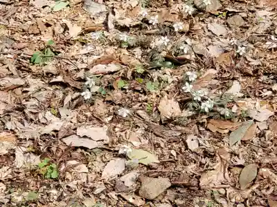 長尾護国寺の自然