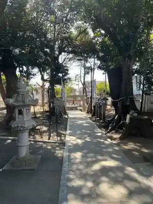 大宮・大原神社(千葉県)