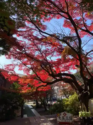 鎌倉宮(神奈川県)