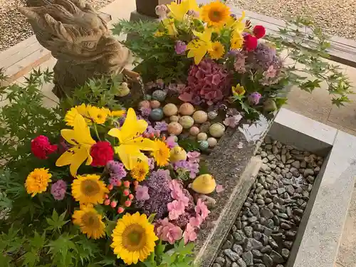 滑川神社 - 仕事と子どもの守り神の手水舎