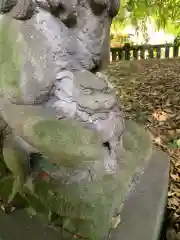 ときわ台天祖神社(東京都)