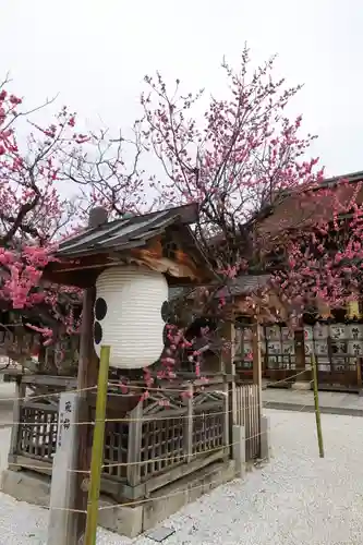 北野天満宮の庭園