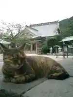 光明寺の動物