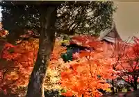 東福禅寺(東福寺)の自然