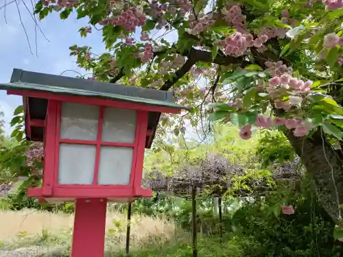 白髭神社の{uncategorized: "未分類", other: "その他", undefined: "問題あり", building: "その他建物", grave: "お墓", sacred_gate: "鳥居", guardian: "狛犬", statue: "像", buddha: "仏像", history: "歴史", nature: "自然", garden: "庭園", animal: "動物", pagoda: "塔", temizu: "手水舎", mountain_gate: "山門・神門", sanctuary: "本殿・本堂", subordinate: "末社・摂社", art: "芸術", scenery: "景色", jizo: "地蔵", ema: "絵馬", goshuin: "御朱印", omikuji: "おみくじ", items: "授与品その他", amulet: "お守り", goshuincho: "御朱印帳", eats: "食事", festival: "お祭り", votive_dance: "神楽", shichigosan: "七五三参", wedding: "結婚式", experience: "体験その他", initially: "初詣", around: "周辺", anti_infection: "感染症対策"}