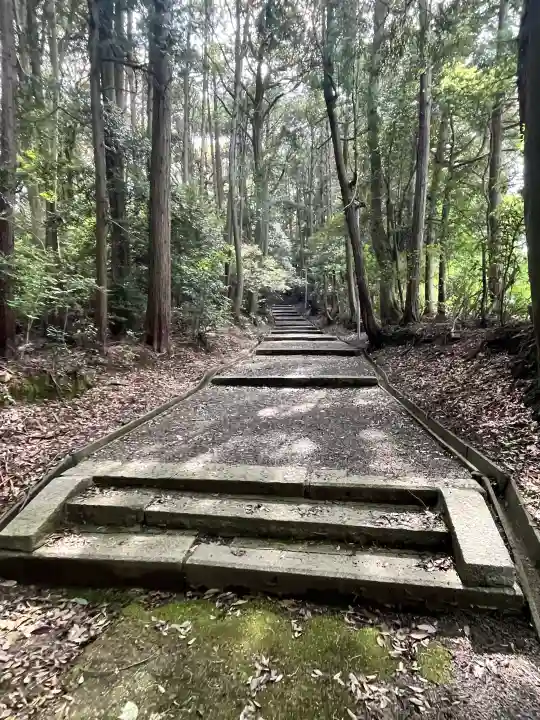 當麻山口神社の{uncategorized: "未分類", other: "その他", undefined: "問題あり", building: "その他建物", grave: "お墓", sacred_gate: "鳥居", guardian: "狛犬", statue: "像", buddha: "仏像", history: "歴史", nature: "自然", garden: "庭園", animal: "動物", pagoda: "塔", temizu: "手水舎", mountain_gate: "山門・神門", sanctuary: "本殿・本堂", subordinate: "末社・摂社", art: "芸術", scenery: "景色", jizo: "地蔵", ema: "絵馬", goshuin: "御朱印", omikuji: "おみくじ", items: "授与品その他", amulet: "お守り", goshuincho: "御朱印帳", eats: "食事", festival: "お祭り", votive_dance: "神楽", shichigosan: "七五三参", wedding: "結婚式", experience: "体験その他", initially: "初詣", around: "周辺", anti_infection: "感染症対策"}
