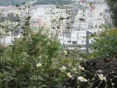 黙仙寺(神奈川県)