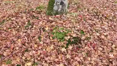 三千院門跡(京都府)