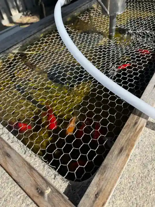 岸和田天神宮の{uncategorized: "未分類", other: "その他", undefined: "問題あり", building: "その他建物", grave: "お墓", sacred_gate: "鳥居", guardian: "狛犬", statue: "像", buddha: "仏像", history: "歴史", nature: "自然", garden: "庭園", animal: "動物", pagoda: "塔", temizu: "手水舎", mountain_gate: "山門・神門", sanctuary: "本殿・本堂", subordinate: "末社・摂社", art: "芸術", scenery: "景色", jizo: "地蔵", ema: "絵馬", goshuin: "御朱印", omikuji: "おみくじ", items: "授与品その他", amulet: "お守り", goshuincho: "御朱印帳", eats: "食事", festival: "お祭り", votive_dance: "神楽", shichigosan: "七五三参", wedding: "結婚式", experience: "体験その他", initially: "初詣", around: "周辺", anti_infection: "感染症対策"}