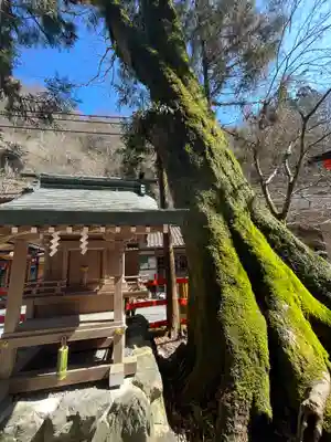 貴船神社(京都府)