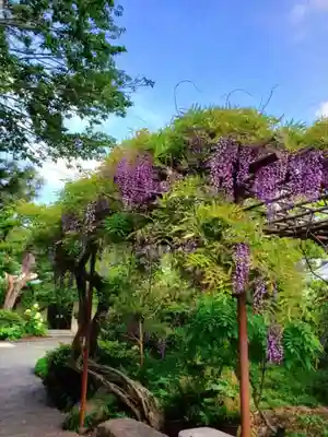 圓照寺(東京都)