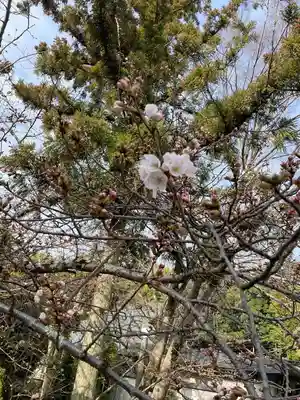 伊勢の国 四天王寺(三重県)